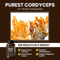 Cordyceps Prestige - 60ct