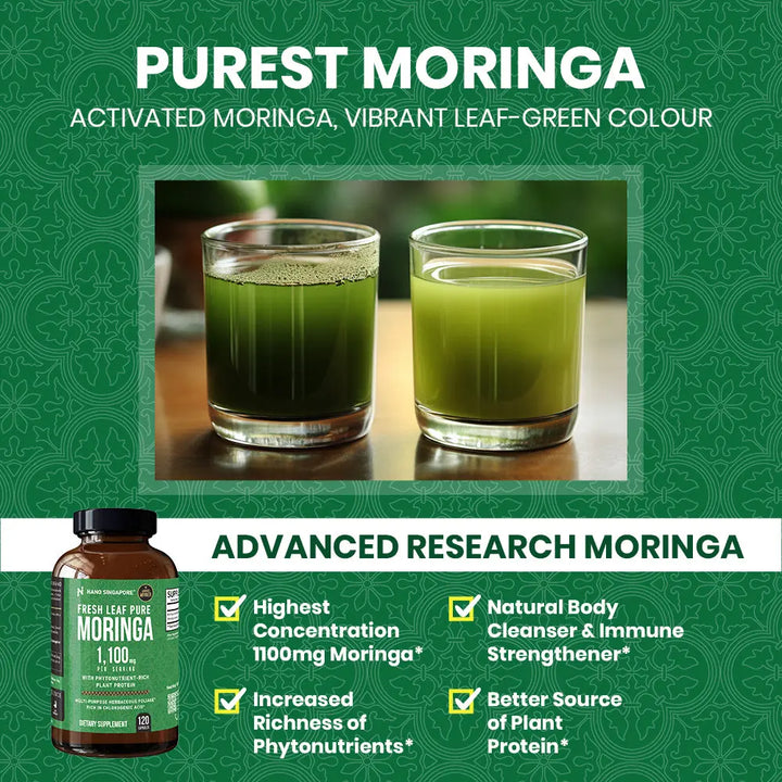 Fresh Leaf Pure Moringa Nano Singapore