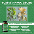 Ginkgo Biloba Extreme - 60ct