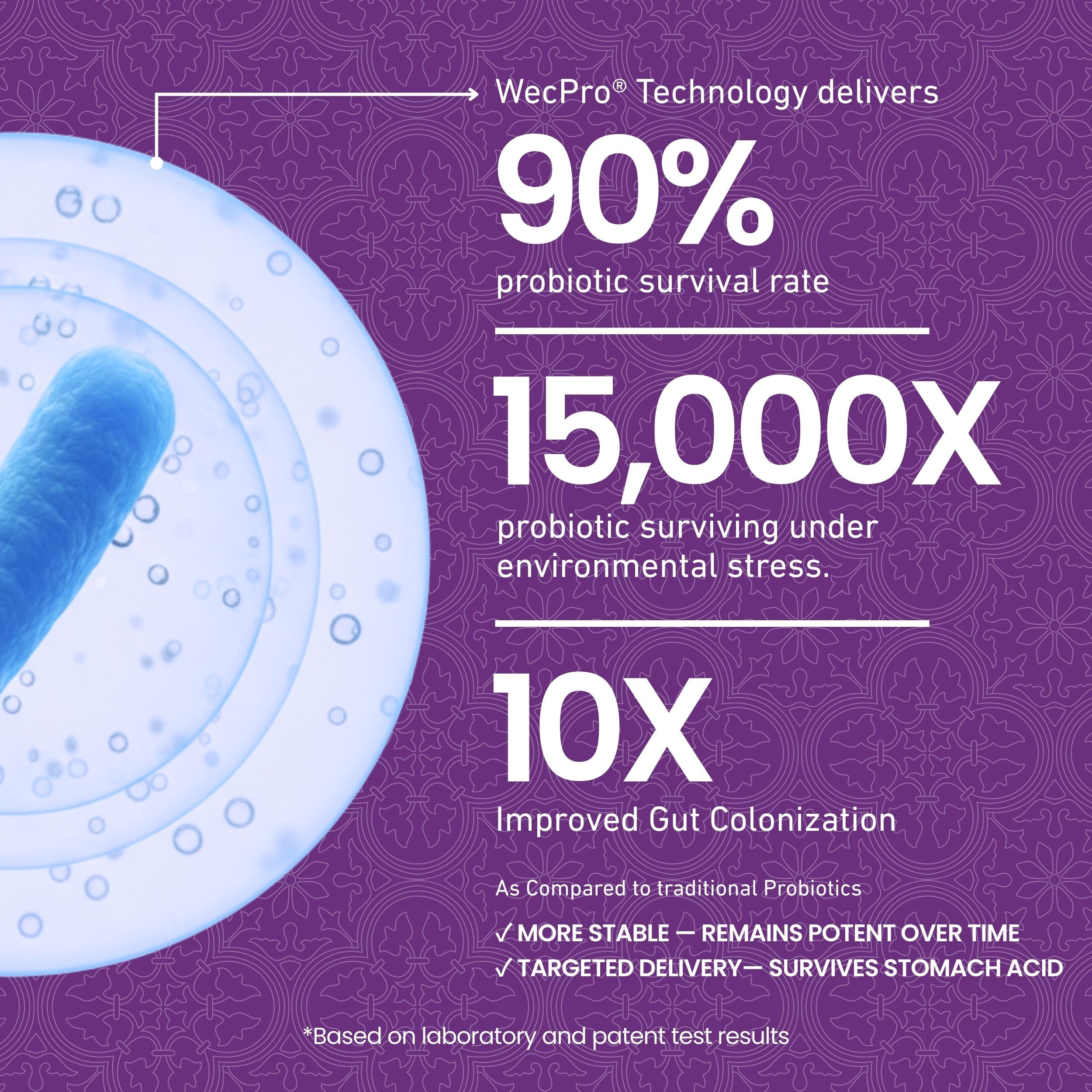Probiotic 40 Billion CFU - 60ct