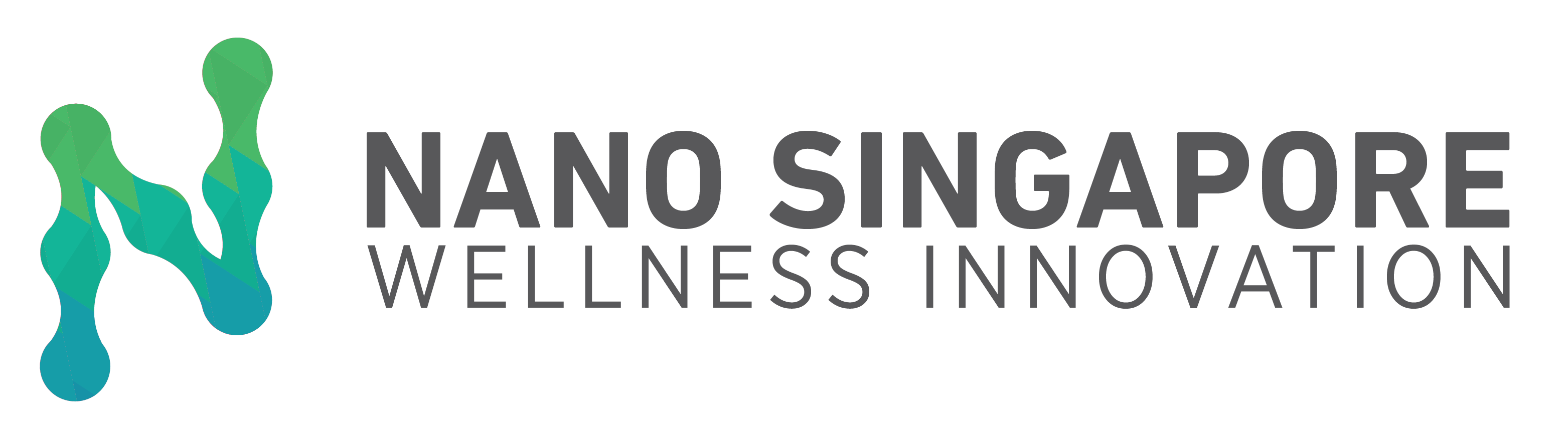 Nano Singapore logo