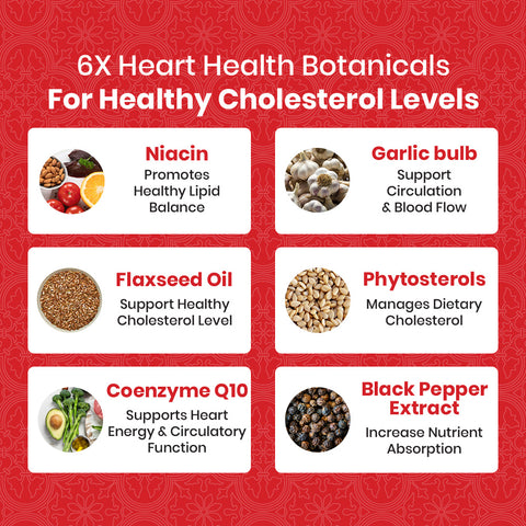 Cholesterol Cleanse Formula - 60ct