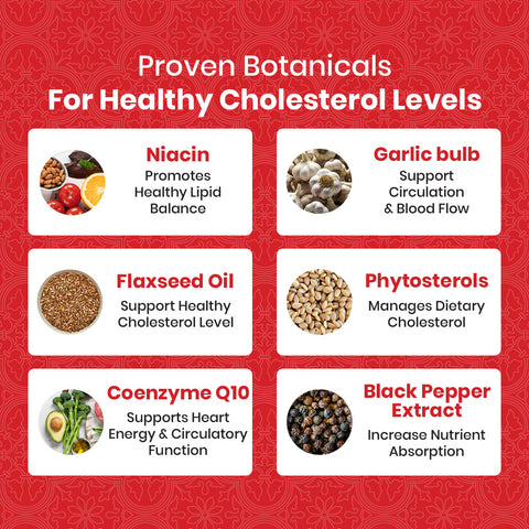 Cholesterol Cleanse Formula - 60ct