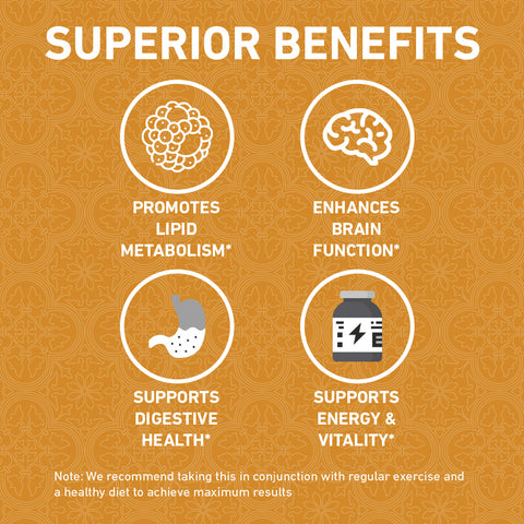 [1-FOR-1 DEALS] Sunflower Lecithin Extreme - 100ct