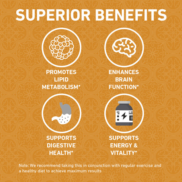 [1-FOR-1 DEALS] Sunflower Lecithin Extreme - 100ct