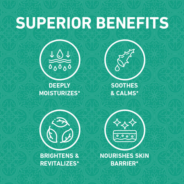 [1-FOR-1 DEALS] Aloe Vera Cream - 50g