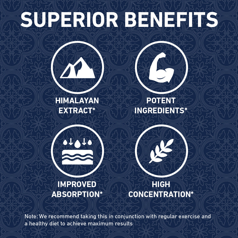 Himalayan Shilajit - 90ct