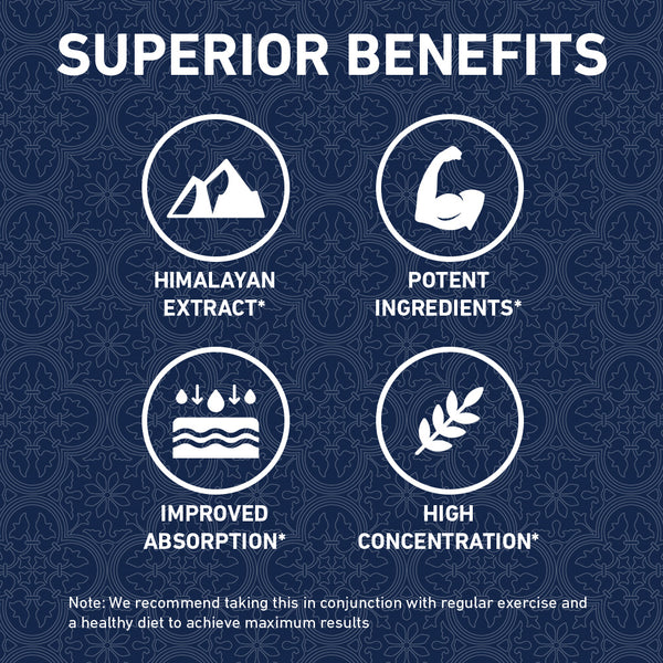 Himalayan Shilajit - 90ct